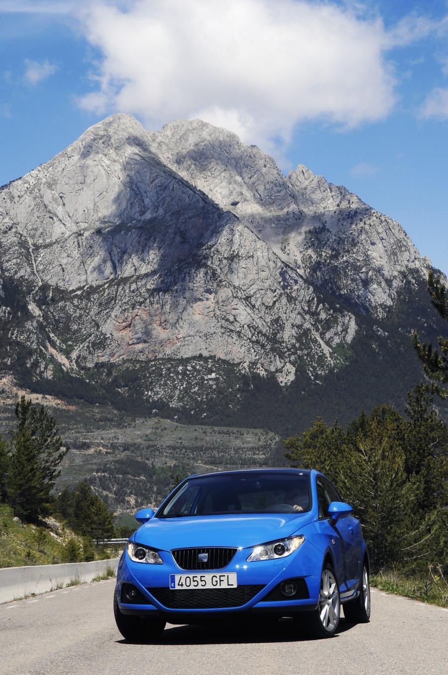  Seat Ibiza SC 2009 года  (фото 129 из 132)